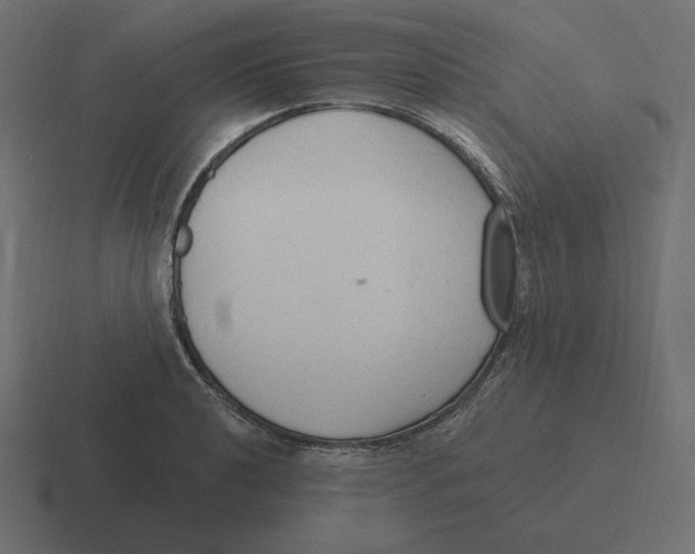 X0000116511040200912292140