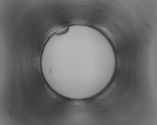 X0000116511041200912292140