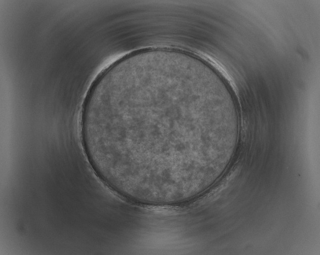 X0000116511045200912292140