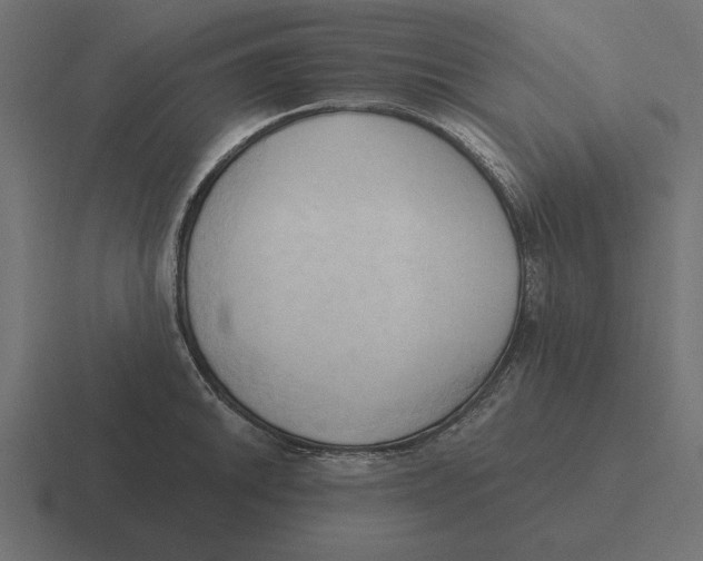 X0000116511046200912292140