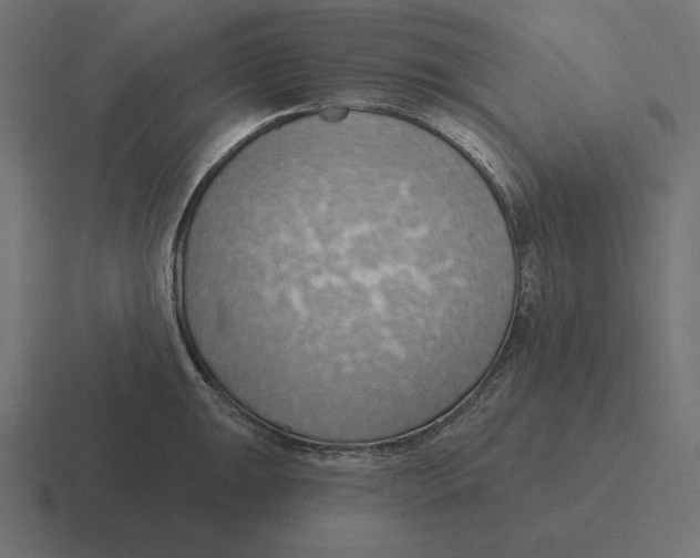 X0000116511047200912292140