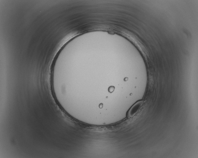 X0000116511050200912292140