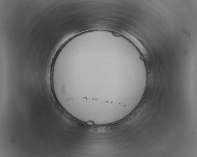 X0000116511051200912292140