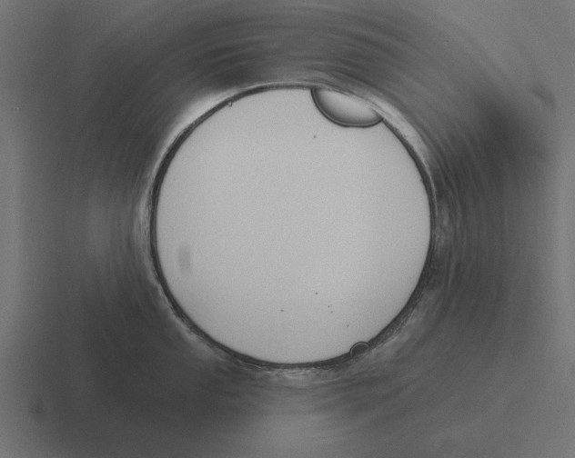 X0000116511053200912292140