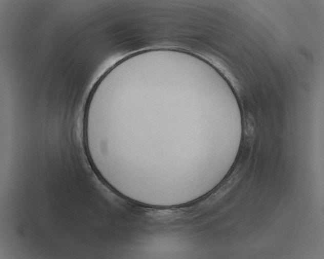 X0000116511054200912292140