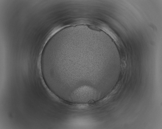 X0000116511055200912292140