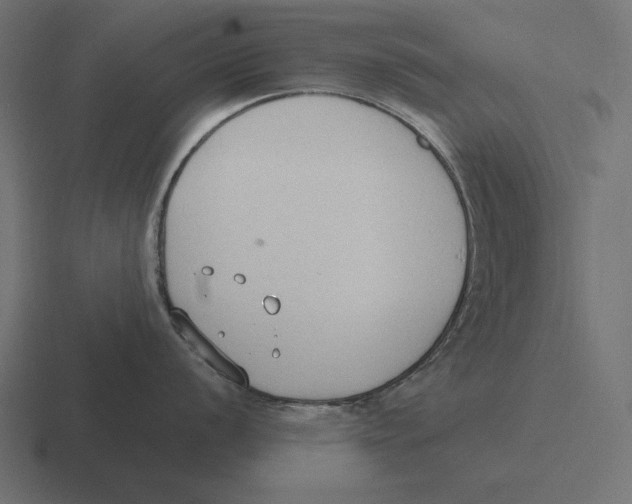 X0000116511056200912292140