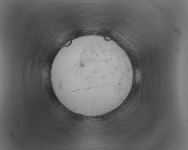 X0000116511059200912292140