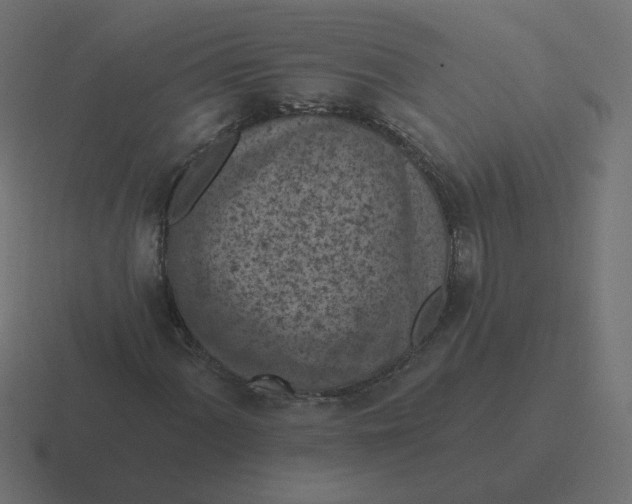 X0000116511060200912292140