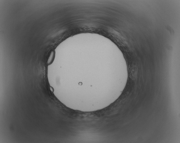 X0000116511061200912292140