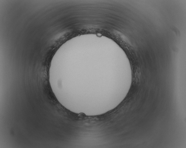 X0000116511062200912292140