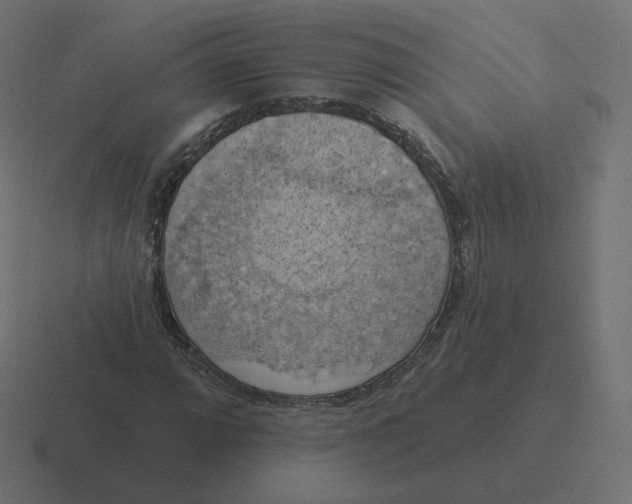 X0000116511064200912292140