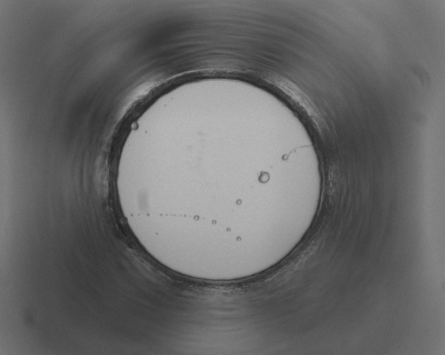 X0000116511067200912292140