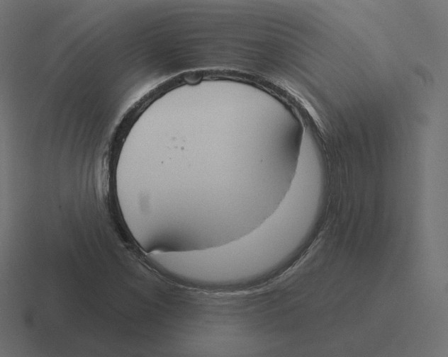 X0000116511069200912292140