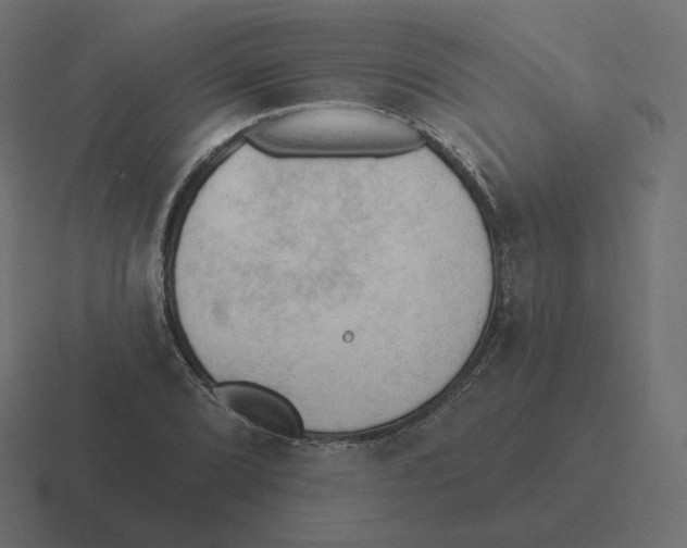 X0000116511072200912292140