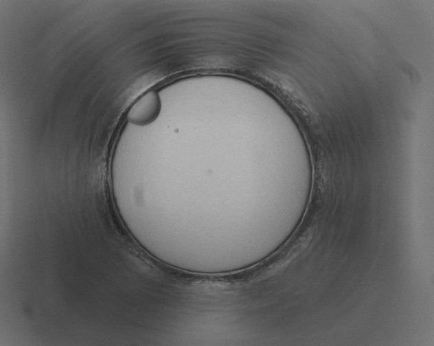 X0000116511073200912292140