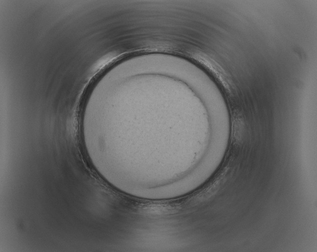 X0000116511074200912292140