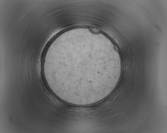 X0000116511076200912292140