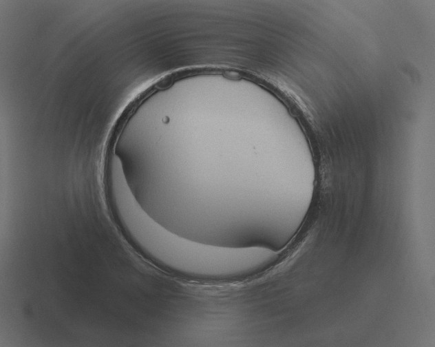 X0000116511077200912292140