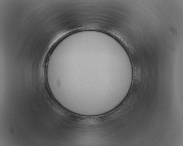 X0000116511078200912292140