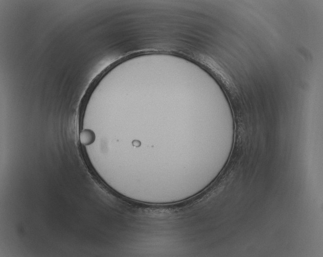 X0000116511079200912292140