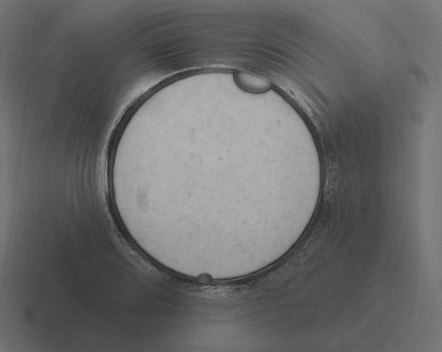 X0000116511080200912292140