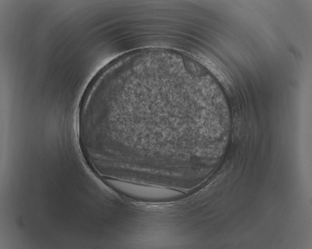 X0000116511084200912292139