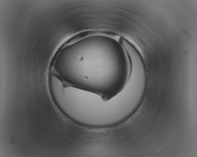 X0000116511085200912292139