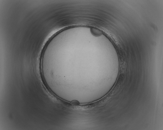 X0000116511086200912292139