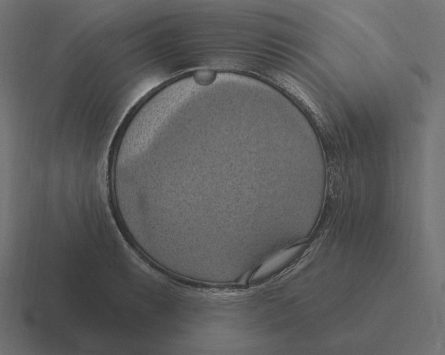 X0000116511087200912292139