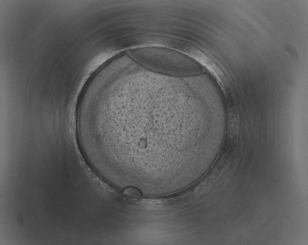 X0000116511088200912292139