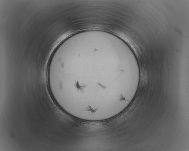 X0000116511090200912292139