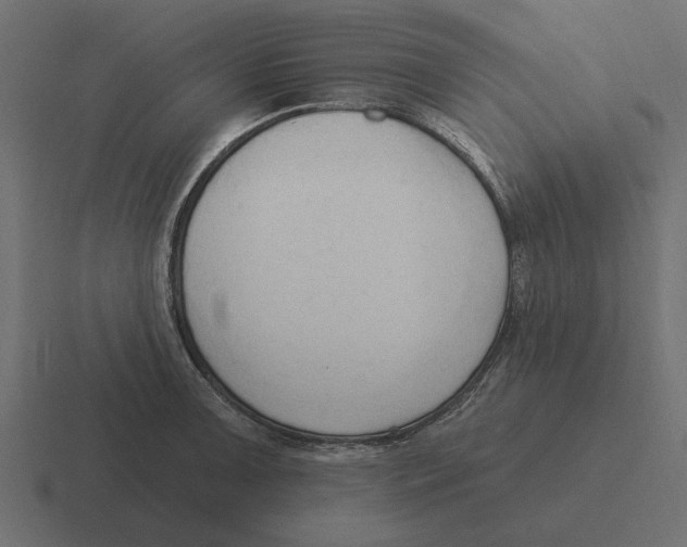 X0000116511091200912292139