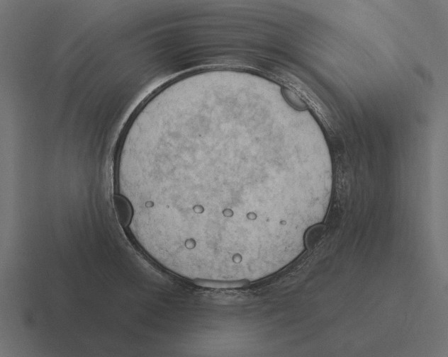 X0000116511092200912292139