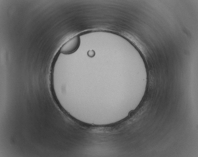 X0000116511093200912292139