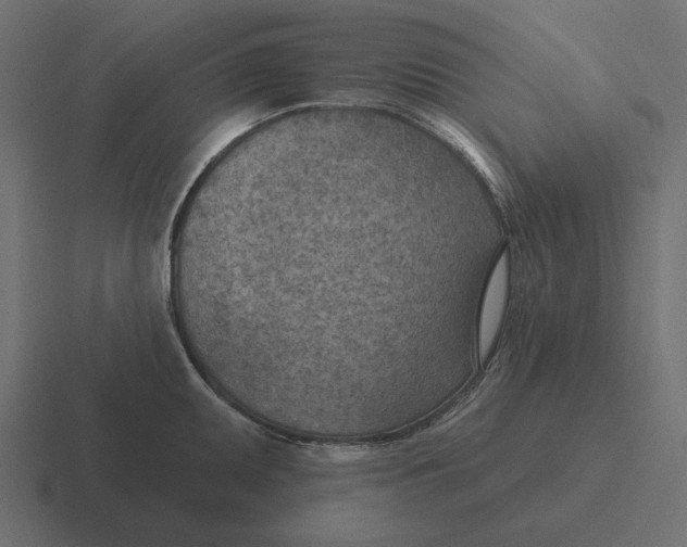 X0000116511095200912292139