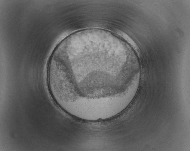 X0000116511096200912292139