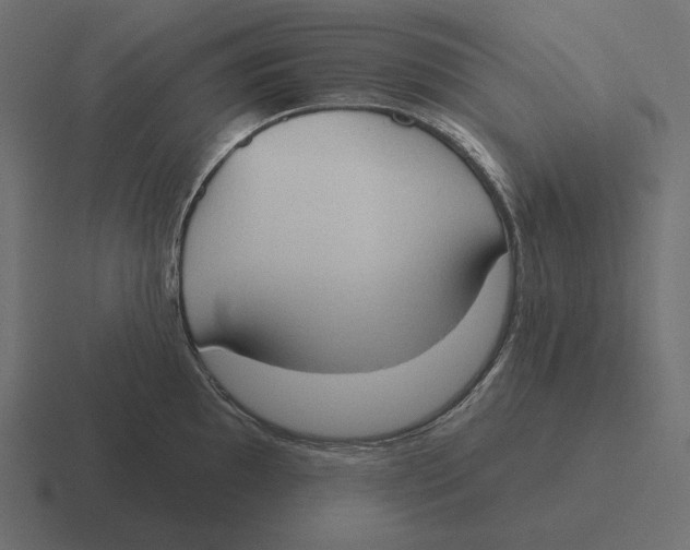 X0000116511097200912292139