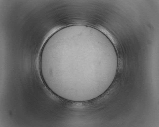 X0000116511098200912292139