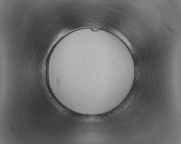 X0000116511099200912292139