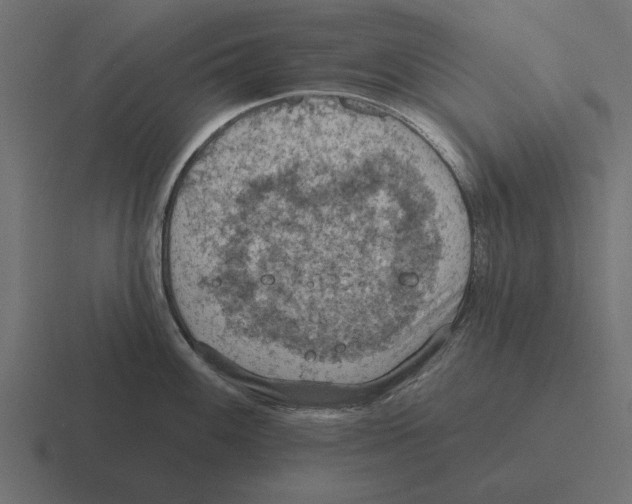 X0000116511100200912292139