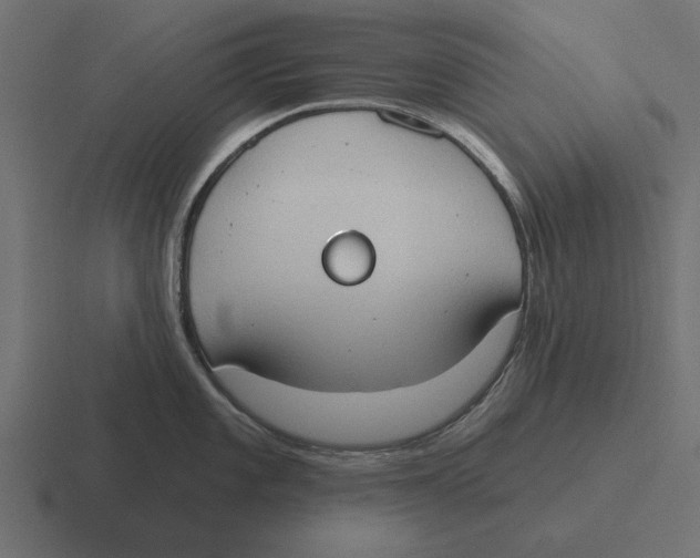 X0000116511101200912292139