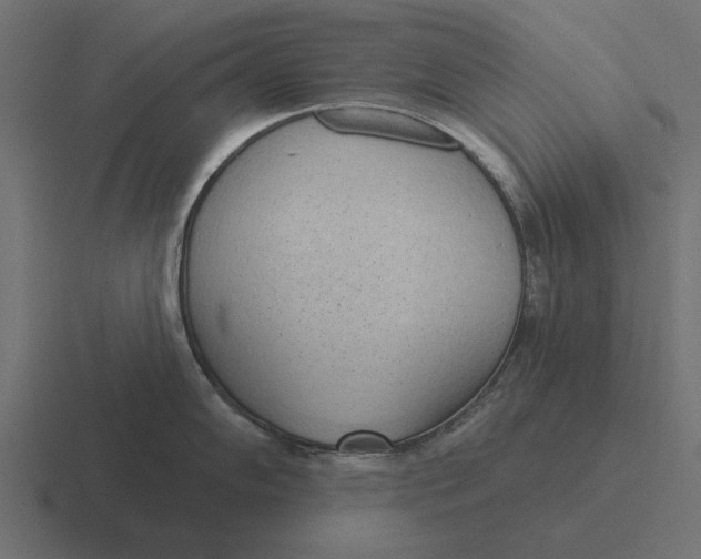 X0000116511102200912292139