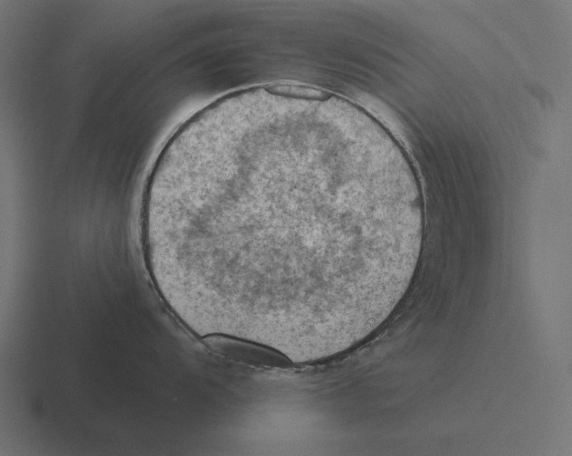 X0000116511104200912292139