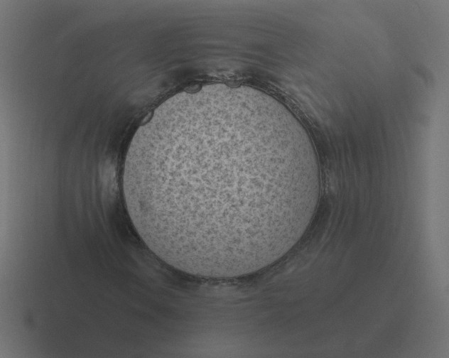 X0000116511106200912292139