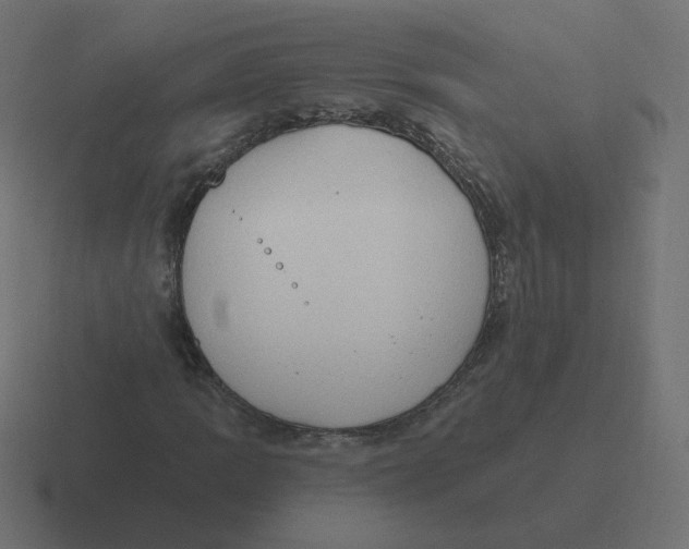 X0000116511109200912292139