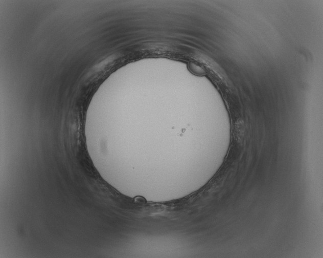 X0000116511111200912292139