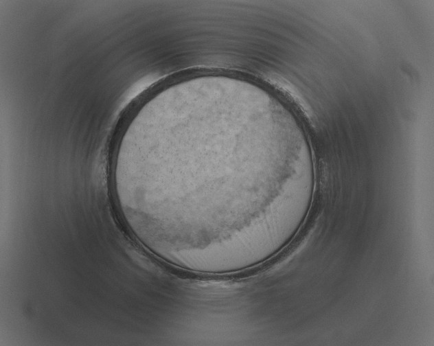 X0000116511114200912292139