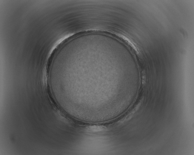 X0000116511117200912292139