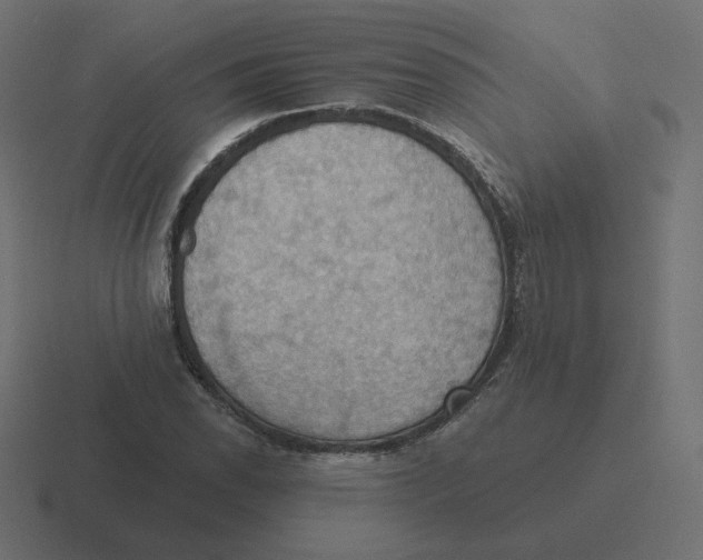 X0000116511118200912292139